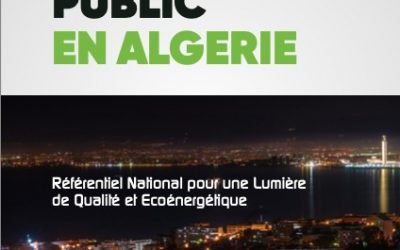 الانارة العمومية في الجزائر: من أجل إنارة نوعية وذات نجاعة طاقوية