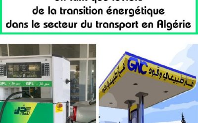 Développement de GPL/c et de GNC en tant que leviers de la transition énergétique dans le secteur du transport en Algérie